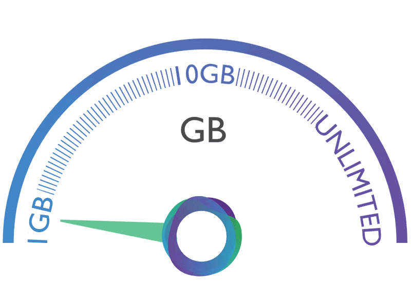 Circles Life Data Meter